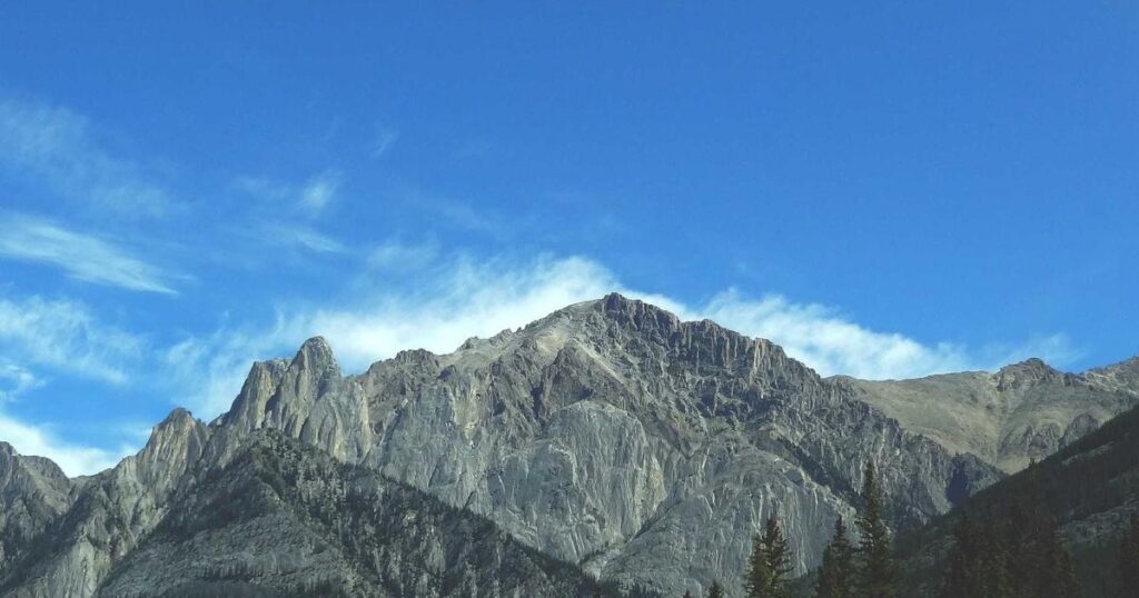 banner 151