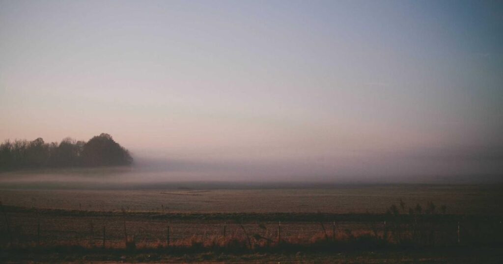 banner 157