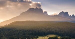 banner 169